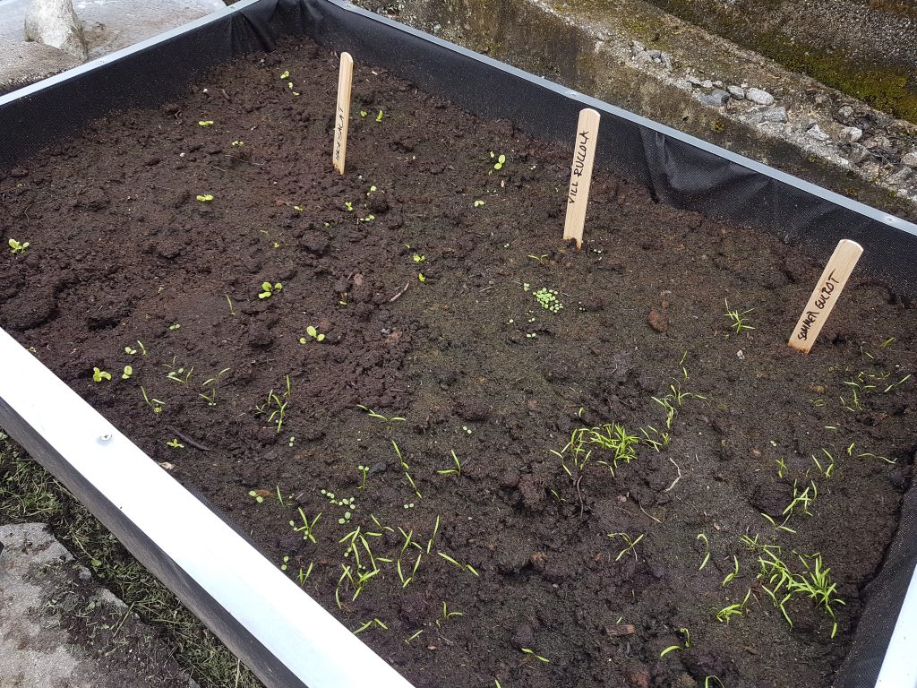 Plantekasse